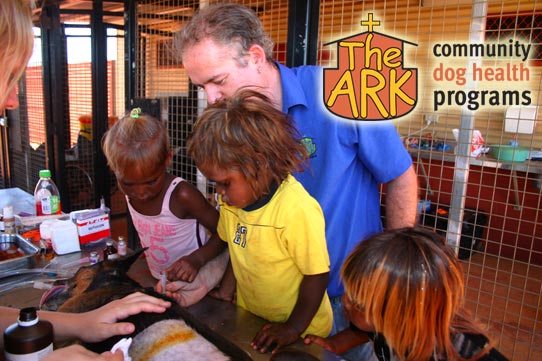 Dr Stephen Cutter treating a dog in a remote indigenous community with helpers.