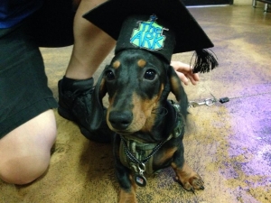 Puppy Graduate