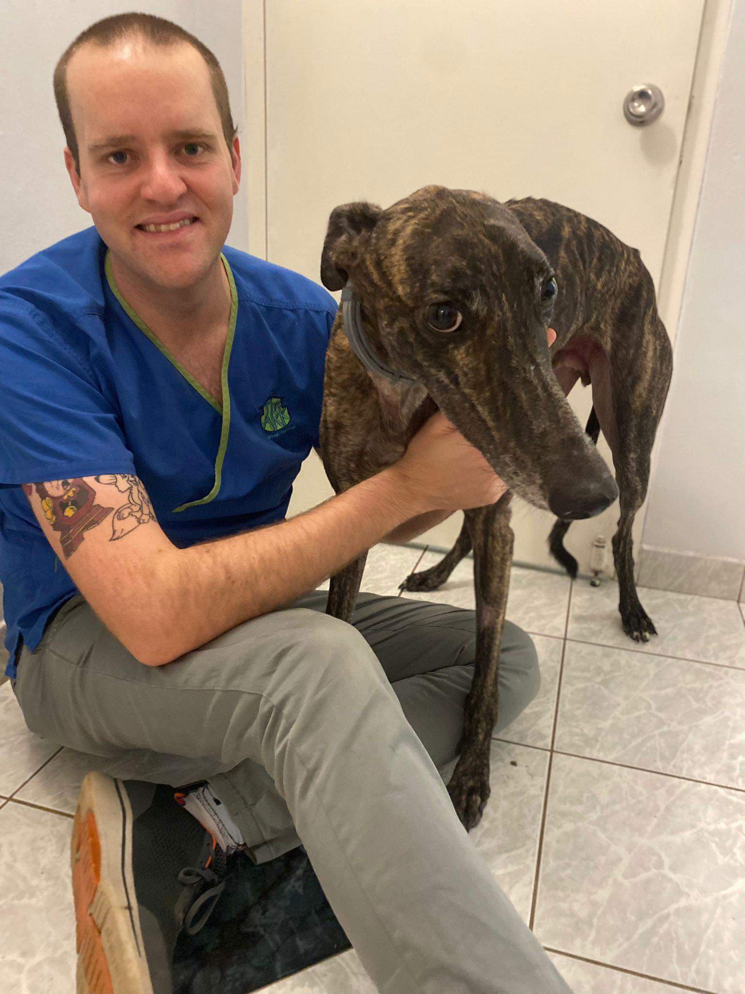 Dr. Joel Cuthbert - The Ark Animal Hospital, Palmerston, NT