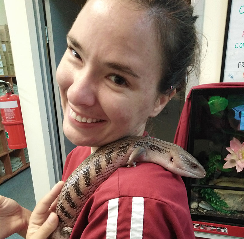 Dr. Rebecca Lauer - The Ark Animal Hospital, Palmerston, NT