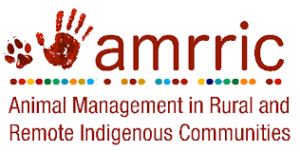 Amrric logo